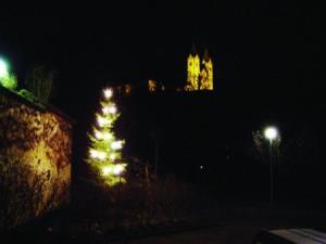 Der Touristenverband sorgt zum Jahresende für eine festliche Ausschmückung in Nazarje